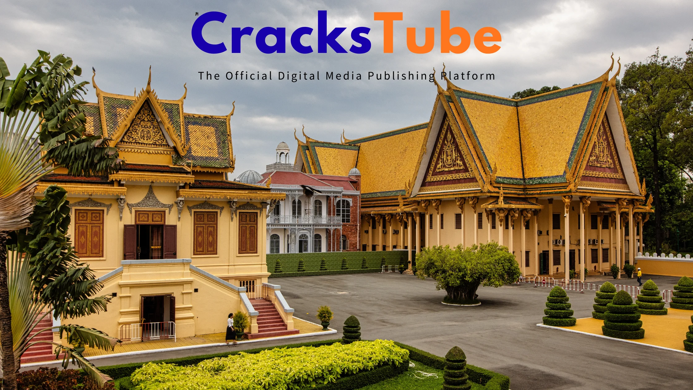The History and Growth of CracksTube as a Digital Platform